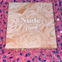 Nude Mood pallet 