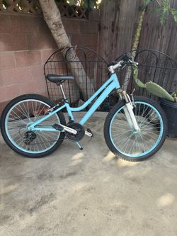 24” Bike, It needs new front wheel axle