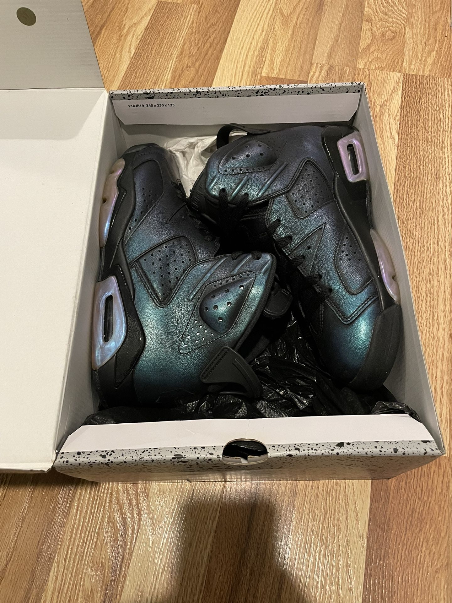 Jordan 6 All Star Chameleon
