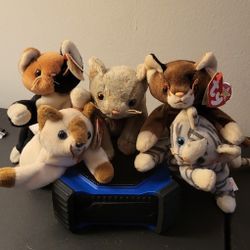 Rare Ty Beanie Babies Collection
