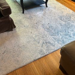 FREE 8x10’ West Elm Rug