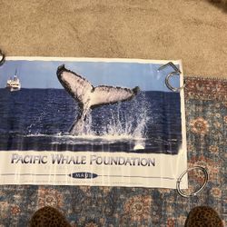 Save The Whales Poster From Maui