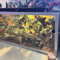 Zen Habitats 3.0 
