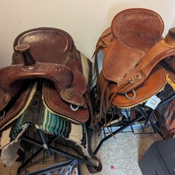 Two Ortho-Flex Saddles