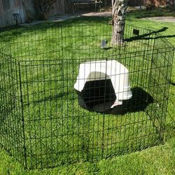 Pet Enclosure With Low Step Litter Box/Hide Hut