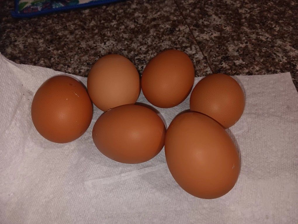 Huevos