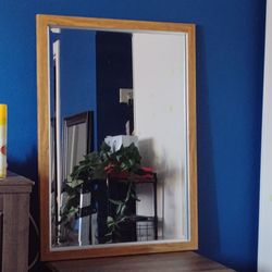 Mirror 25 1/2× 36