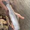 BassHole