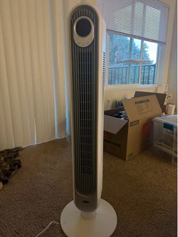 Fan
