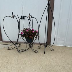 Hanging Plant Holders 