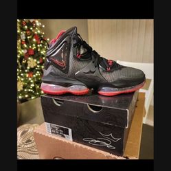 nike lebron 19 Bred