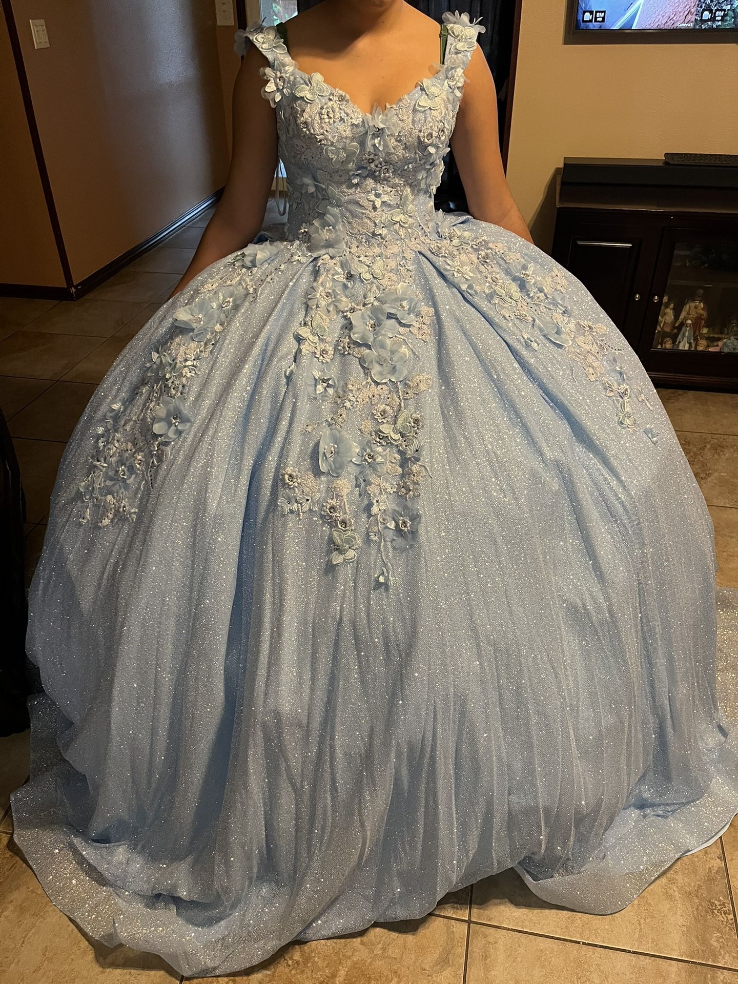 Quincenera Dress & Crinoline