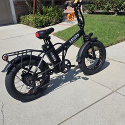 Asguard  Fat Tire Folding Electric Bike 