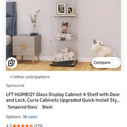 (Assembled) Locking Glass Display Case.