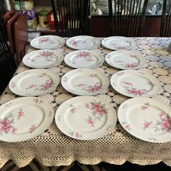 Harmony House “Dogwood” fine china 10.25” set of 12 dinner plate,