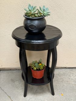 Tabletop plant stand with succulents