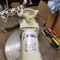 Pentair Superflow Pool Pump 