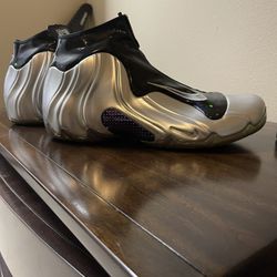 Nike Air Flightposite Size 13