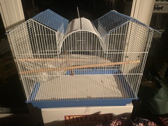 Bird Cage