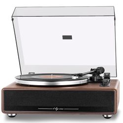 1byone All In One Record Player