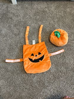 Baby carrier Halloween costume