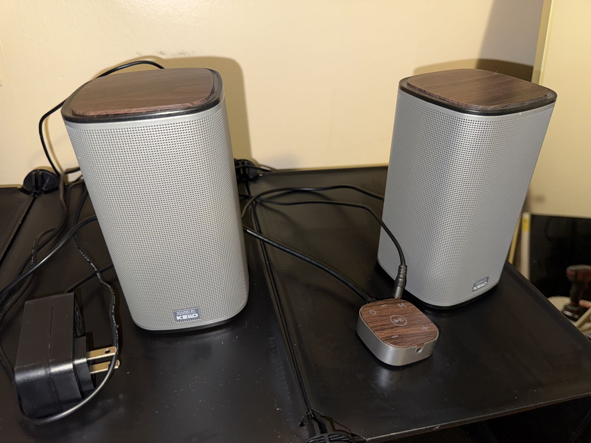Computer Speakers