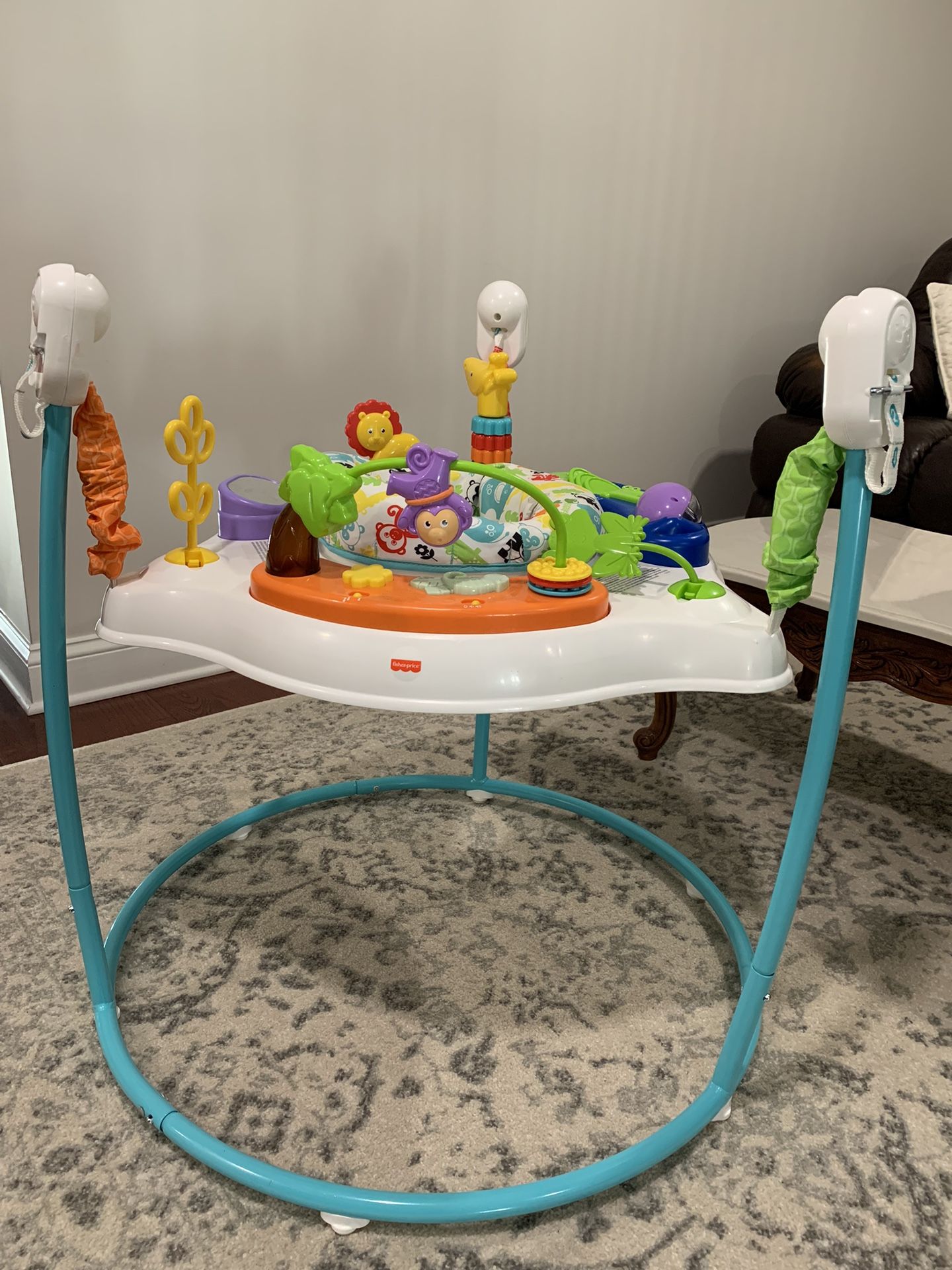 Fisher-Price Animal Activity Jumperoo