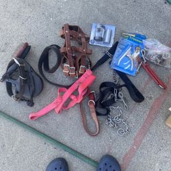 Dog Collars And Misc.