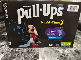 Pull Up Potty Pants