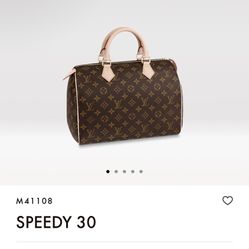 Speedy Louis Vuitton