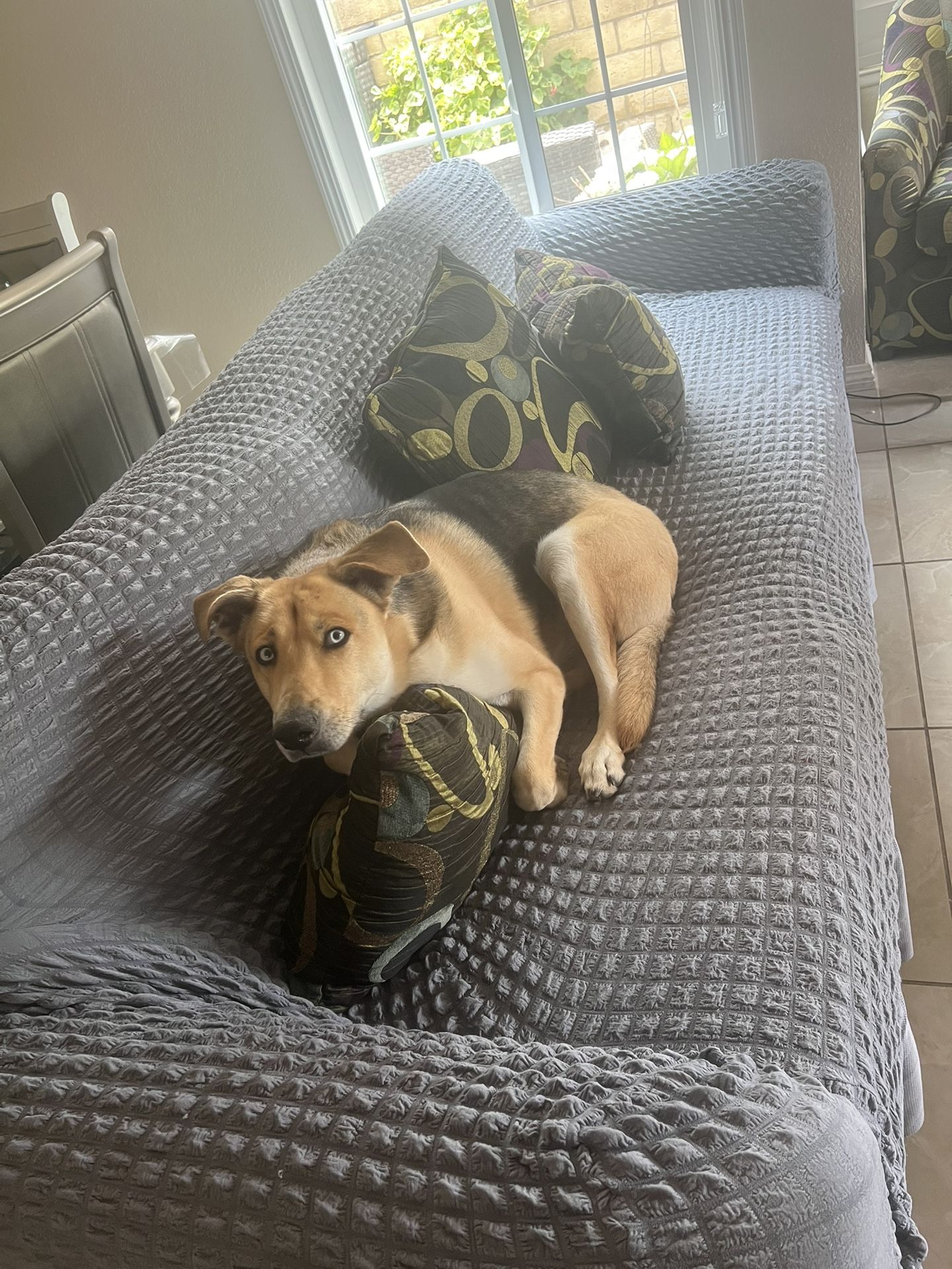 sofa and loveseat