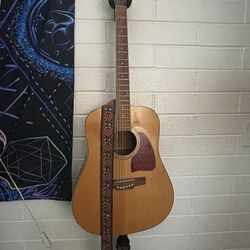 Acoustic Guitar - Make: Ibanez Model: AW800