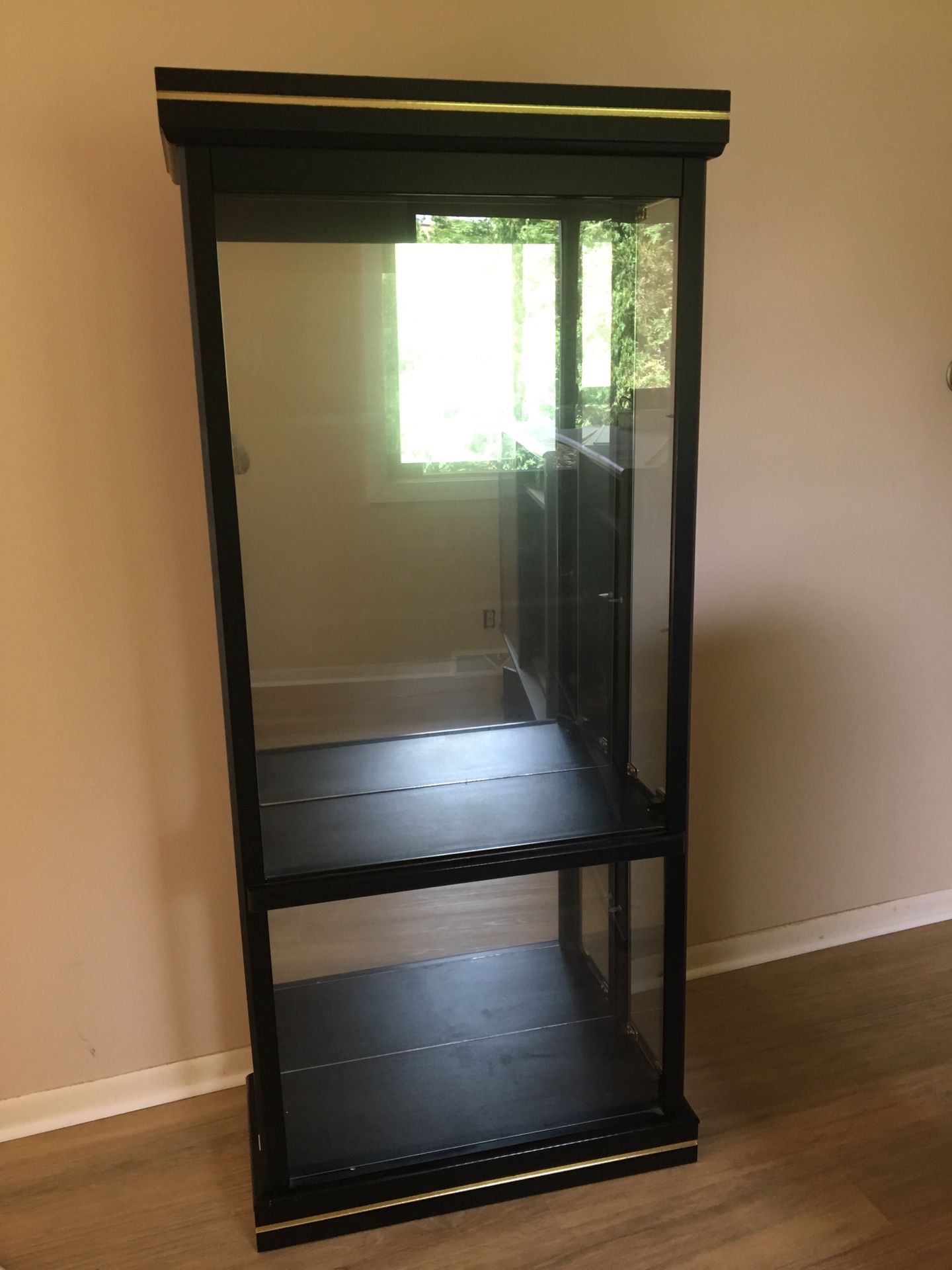 Glass display curio