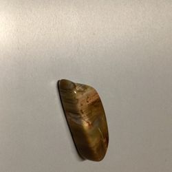 Petrified Wood
