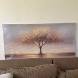 Beautiful Tree Of life Photo