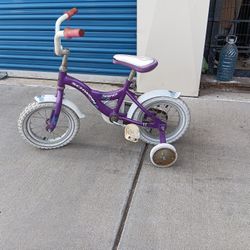 Schwinn Girls Bike  // Window Security Bars 