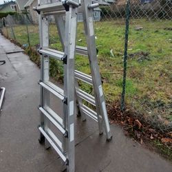 Multi Purpose Ladder 25' 