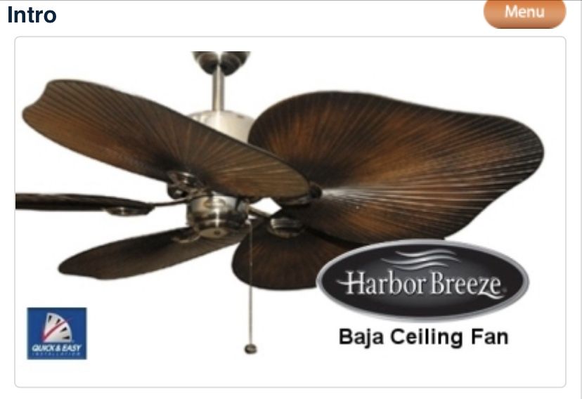 Palm shaped Fan for free