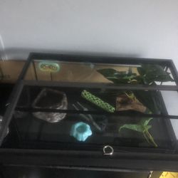 Low  Profile Terrarium 