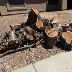 Mesquite 