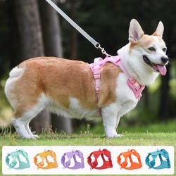 Vibrant Adjustable Pet Harness: Secure Fit, Comfortable for Walks