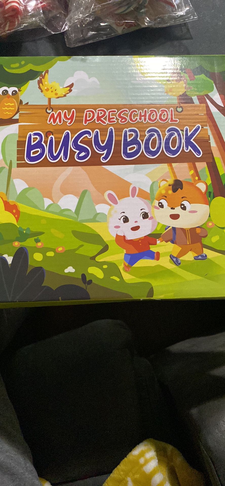 Preschool Busy Book