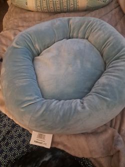 Cat bed