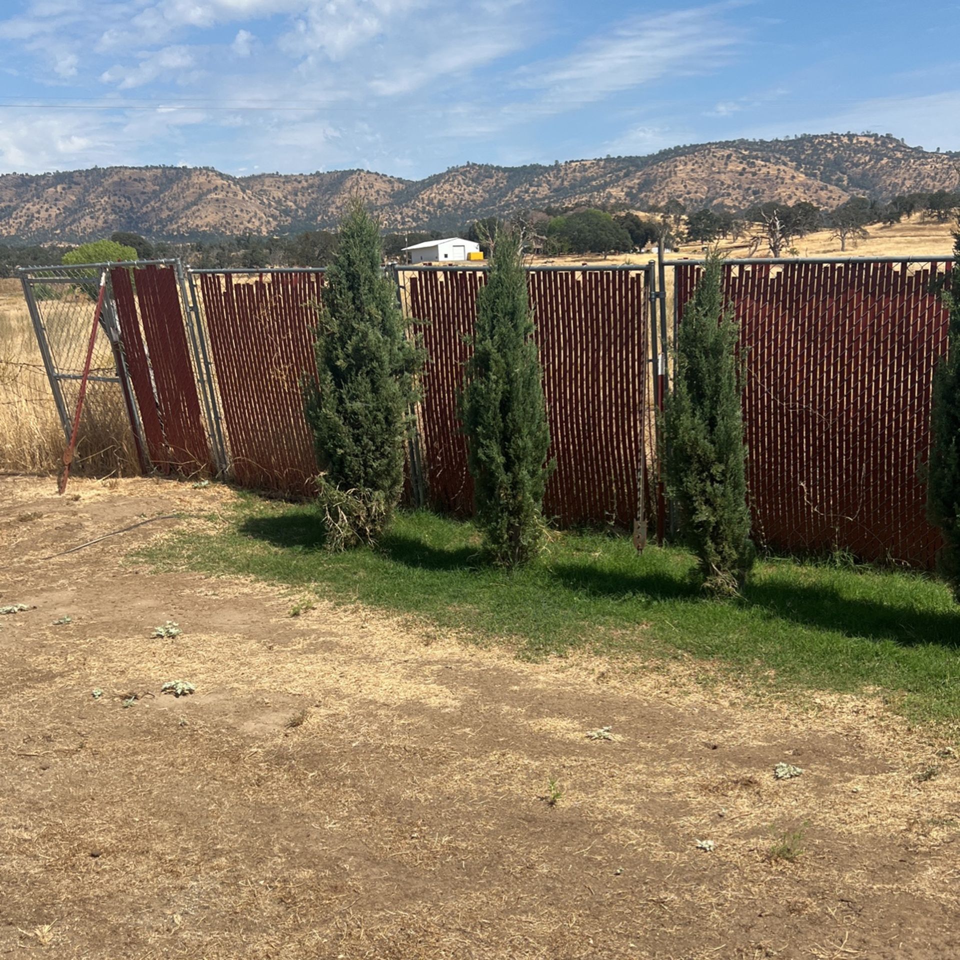 Dog Kennel W Gate Panel 