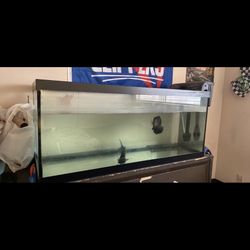 75 Gallon Fish Tank