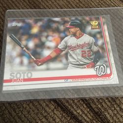Baseball Card 2019 Topps Juan Soto Rookie Cup
