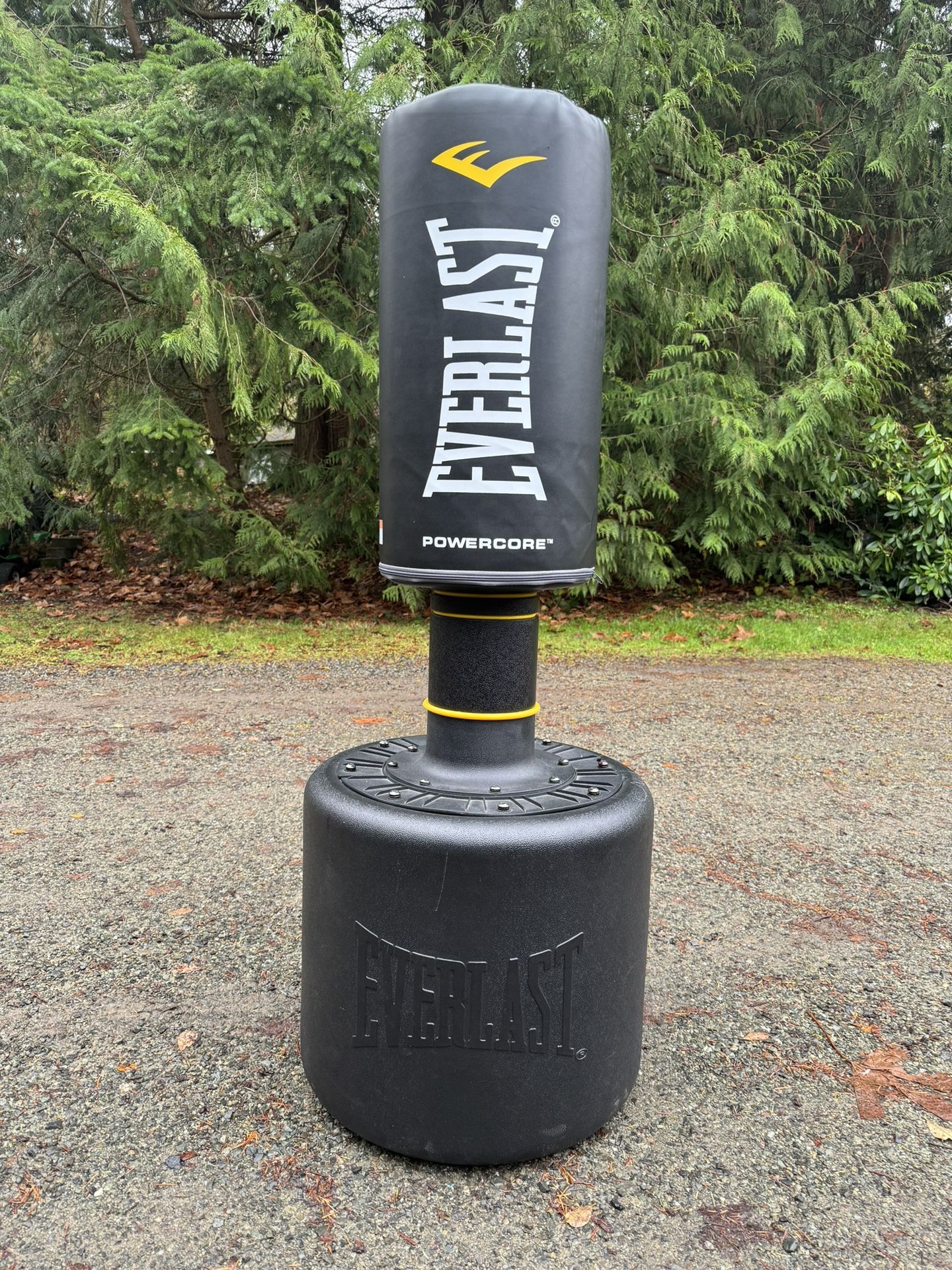 Everlast Powercore Punching Bag