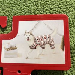 Dog Clothes, Collar And Harness