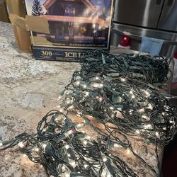 Outdoor Christmas Lights 
