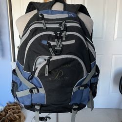Great Daypack / Backpack 